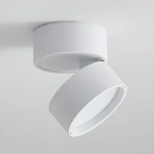 Compact Verstelbare Plafondspot Gebalanceerde Verlichting