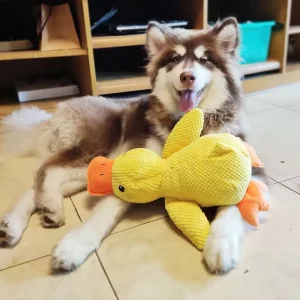 Kalmerende Eend Wasbaar In Wasmachine En Droger Voor Hond